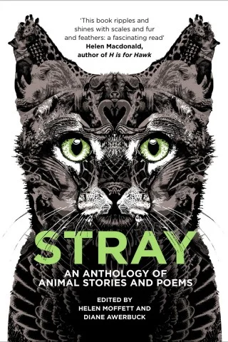 Stray-cover with shout.jpeg