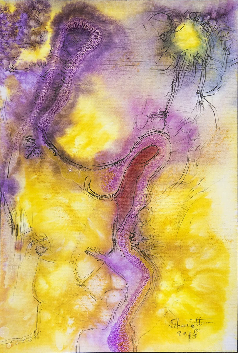 Title: 'The Dying Baby Calling’, 2018 Medium: Ink, pigment, and pastels on paper Size: 39 x 27 cm Location: Bruce Sherratt Gallery, Bali