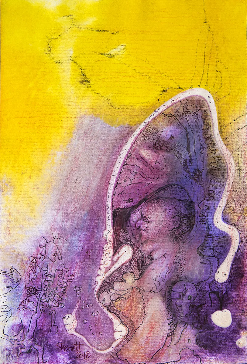 Title: 'Cocooned’, 2018 Medium: Ink, pigment, and pastels on paper Size: 27 x 40 cm Location: Bruce Sherratt Gallery, Bali