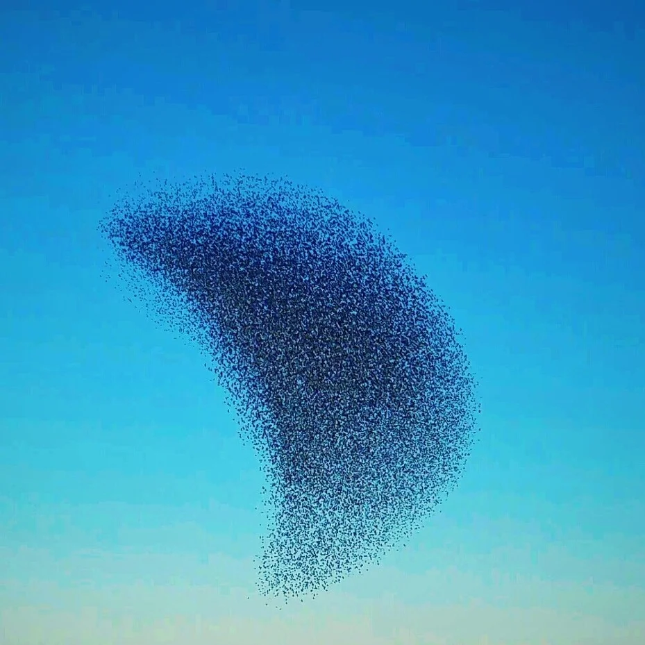 159520771001202.jpg