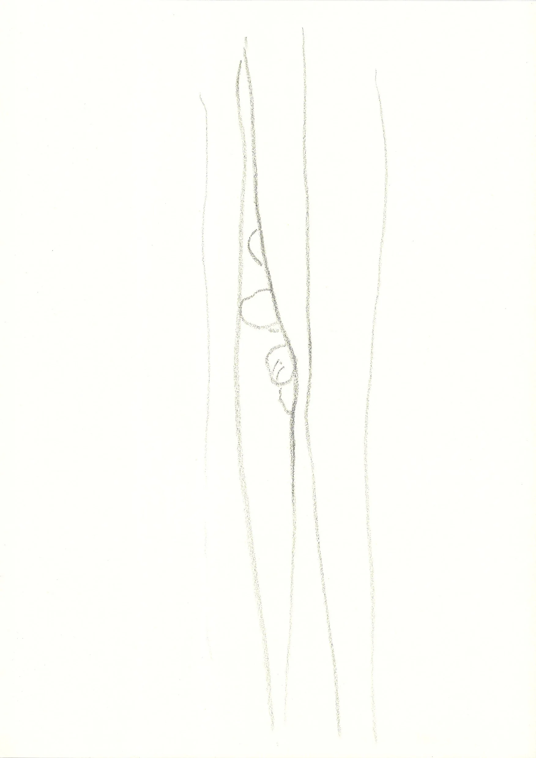 Vorhang 1