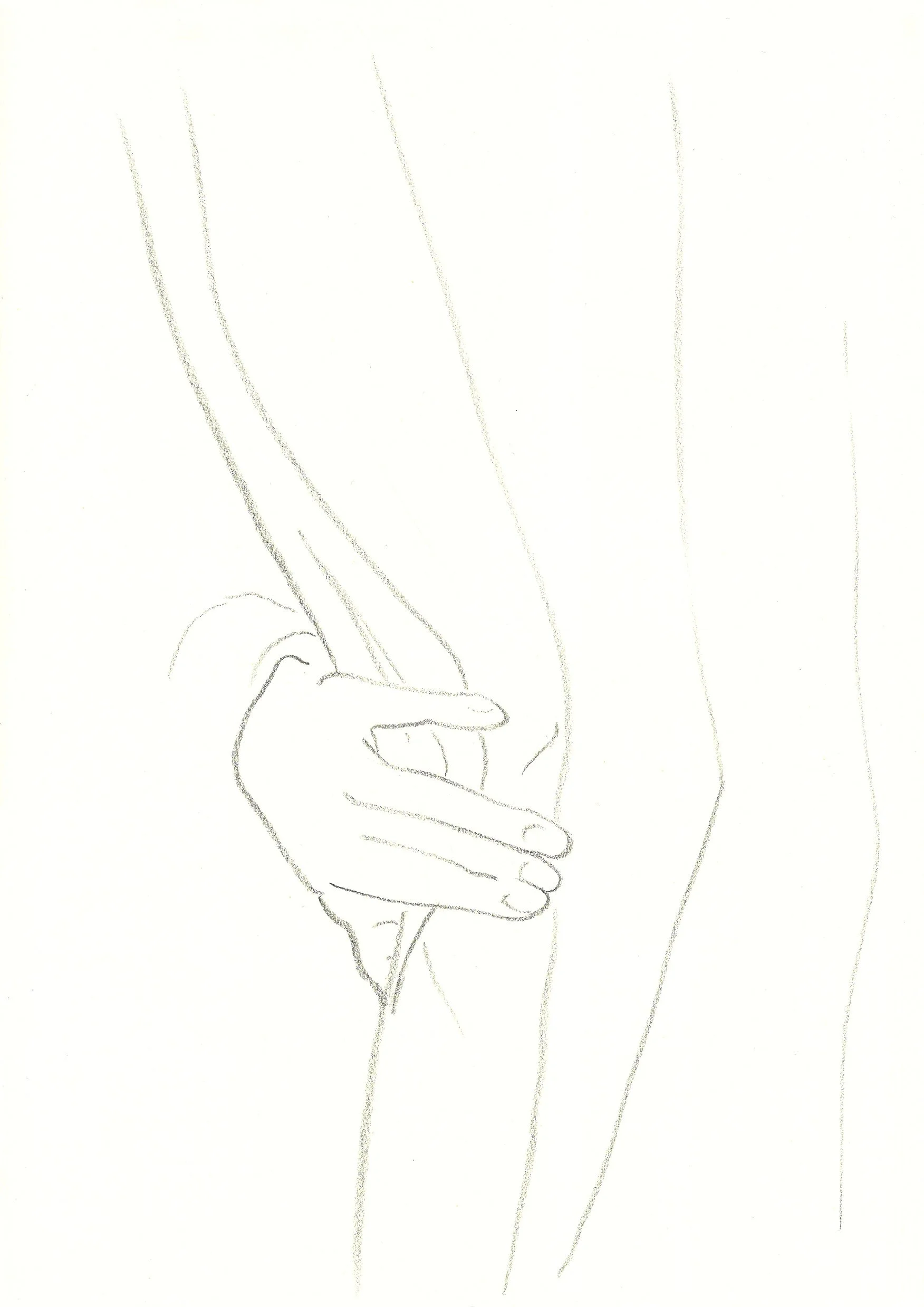 Vorhang 6