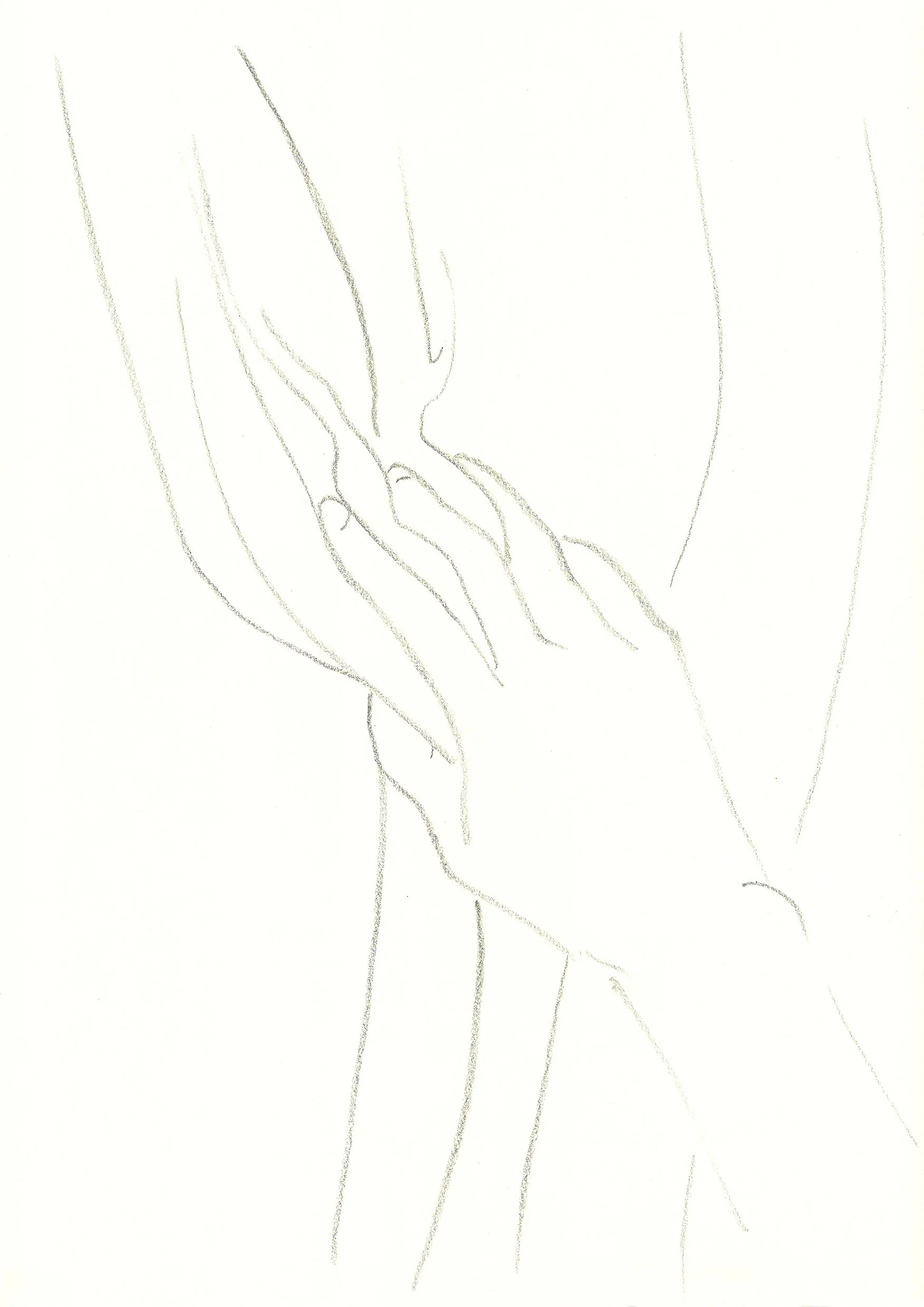 Vorhang 7
