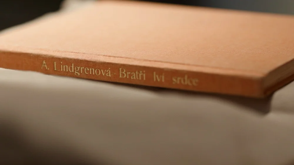 Bröderna Lejonhjärta_original_02 - stor.jpeg