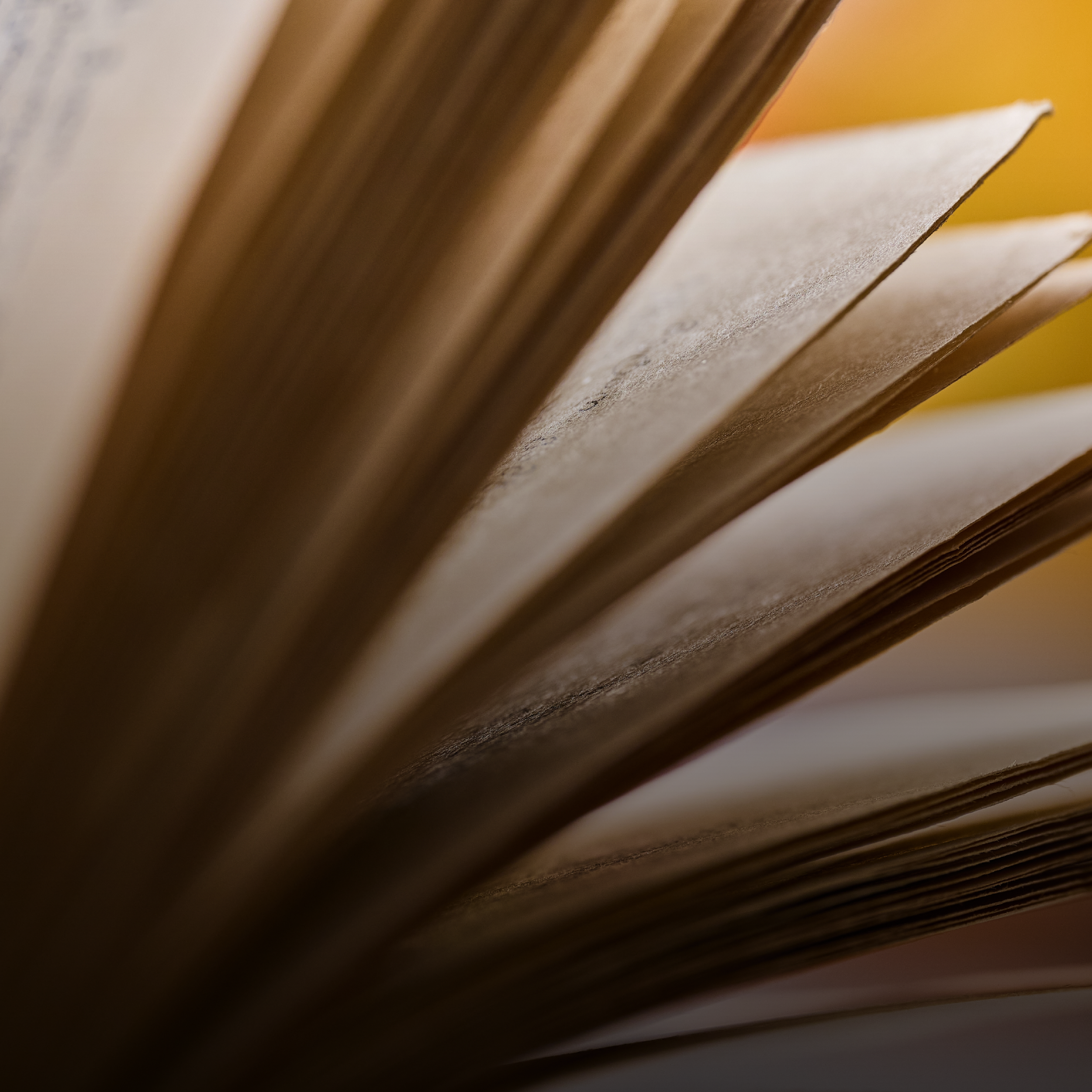 KB föreslår stärkta resurser till initiativ om förbjuden litteratur