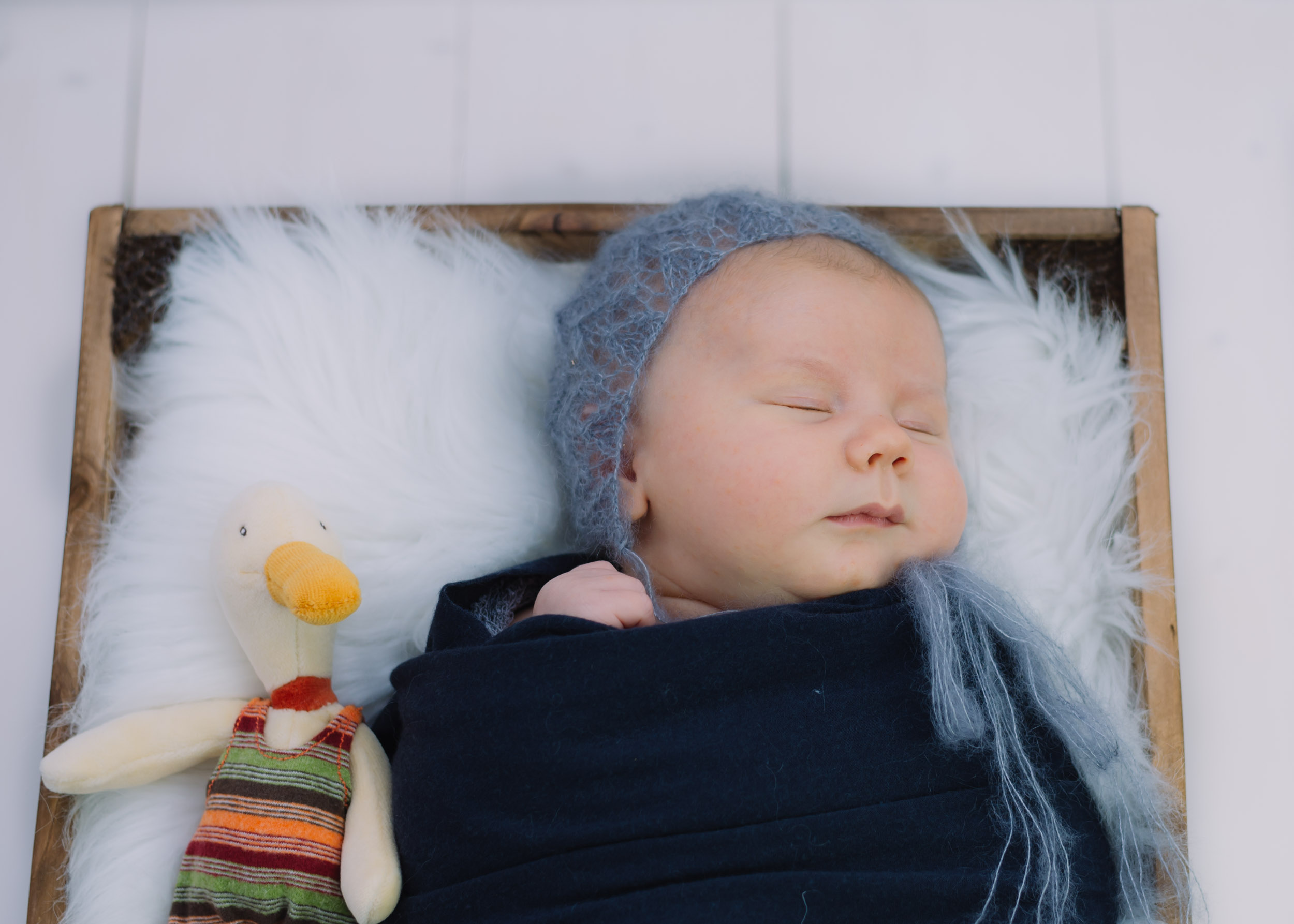 newborn & baby shoot lancashire6