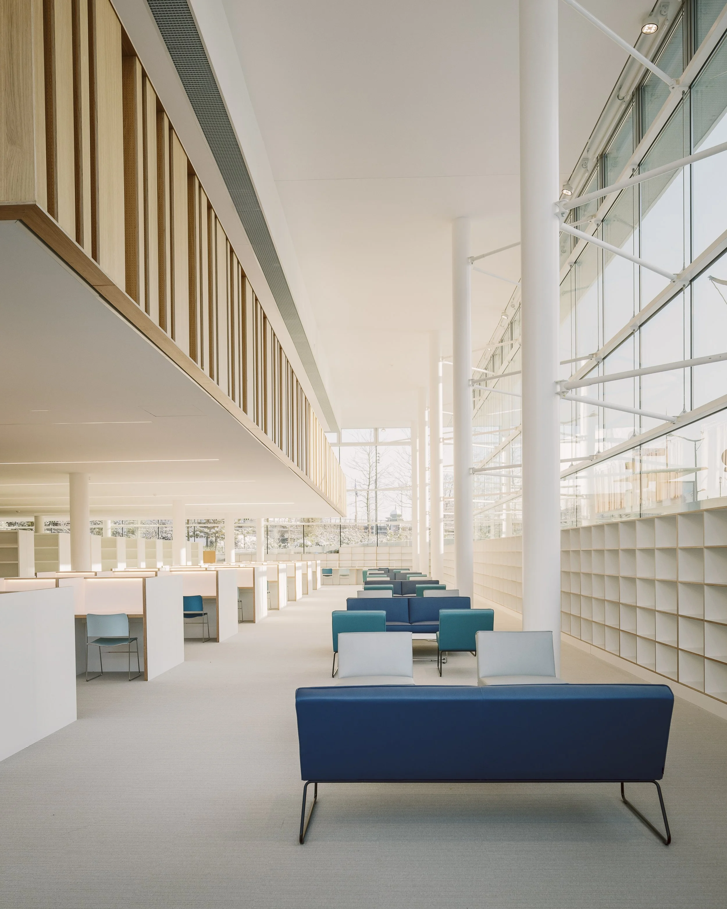 24__87A4595 (modif).jpg