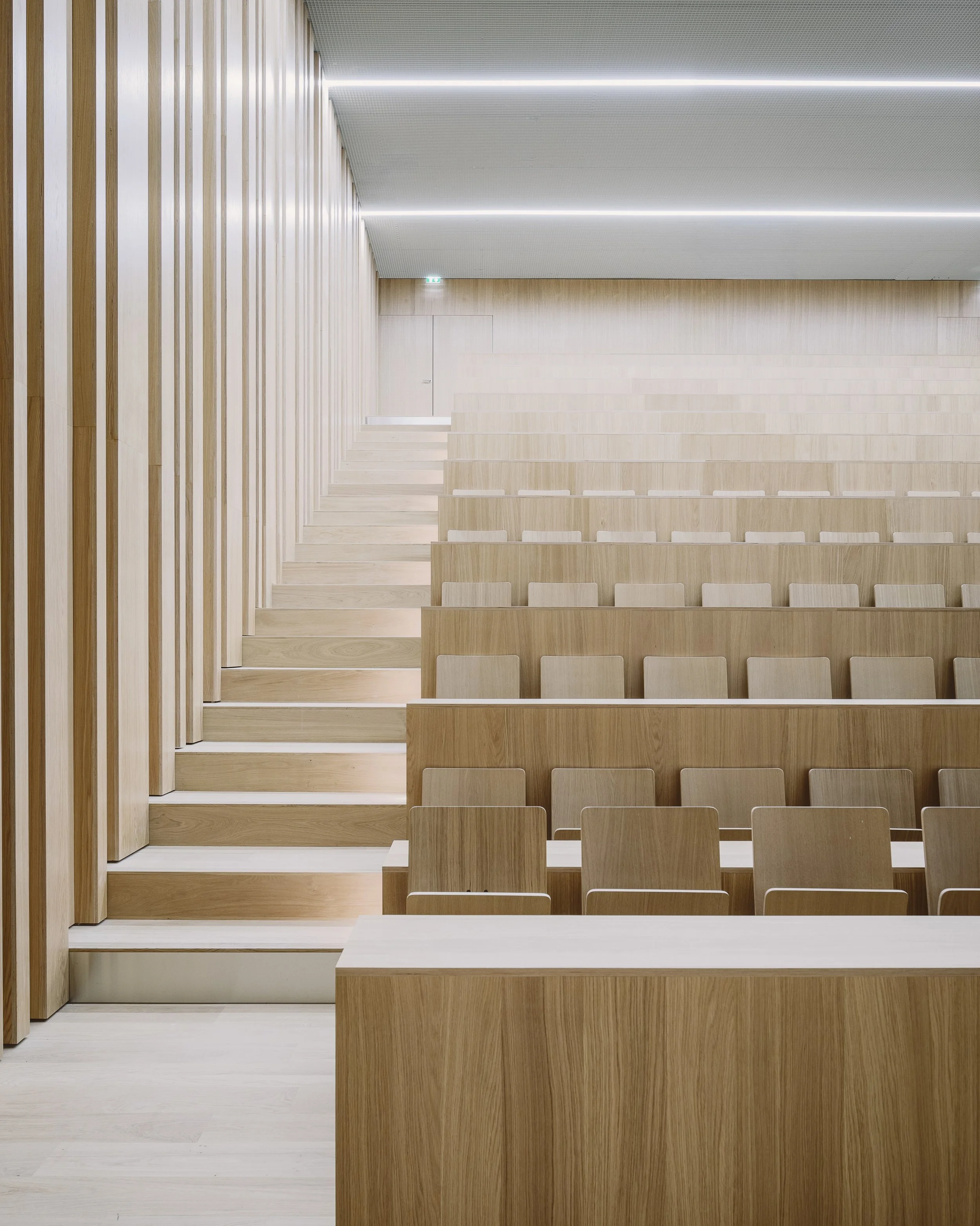 41__87A3905 (modif).jpg