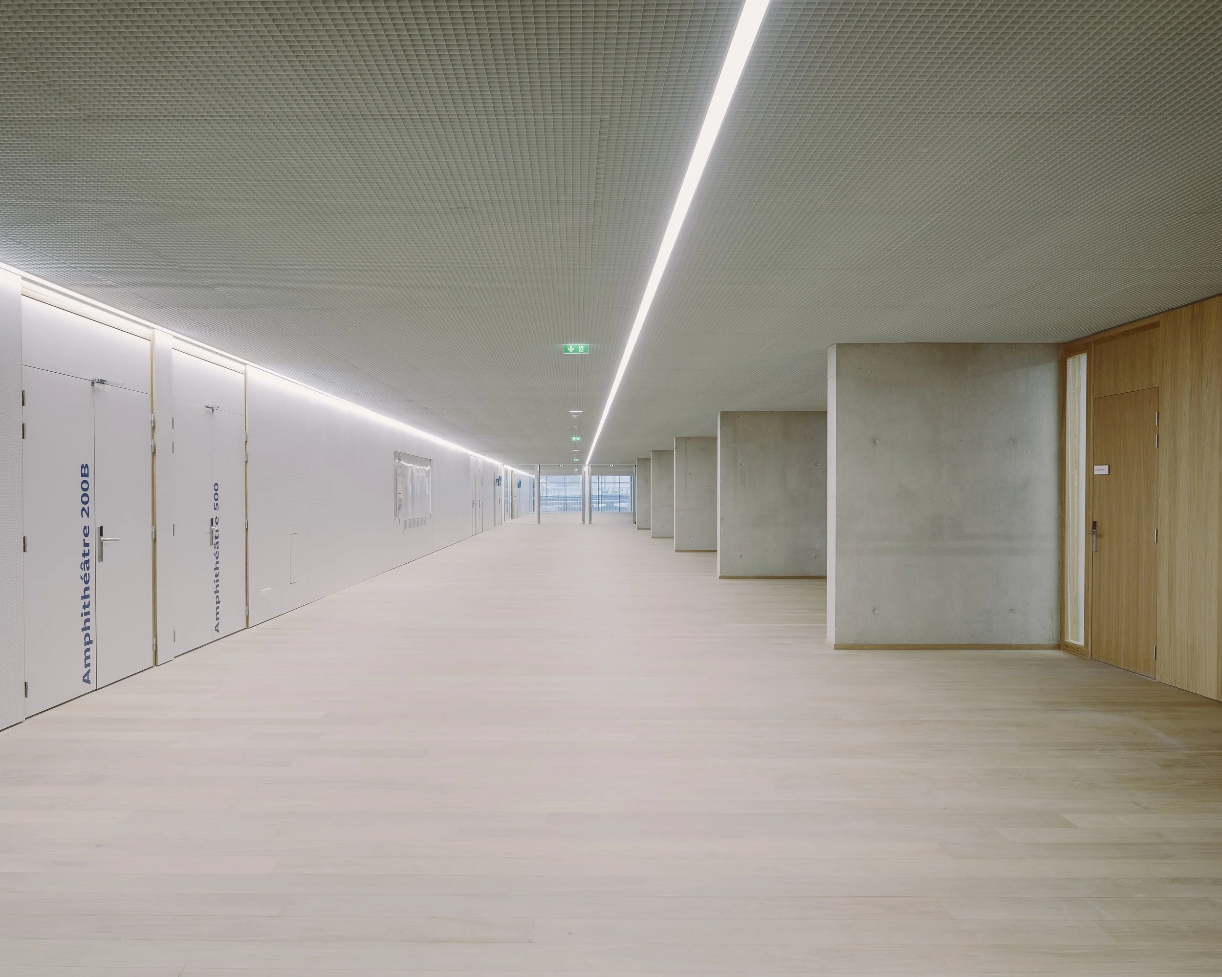 57__87A3692 (modif).jpg