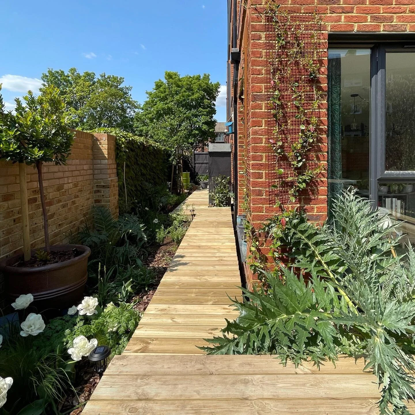 Added a timber boardwalk to our little coastal garden paradise this weekend