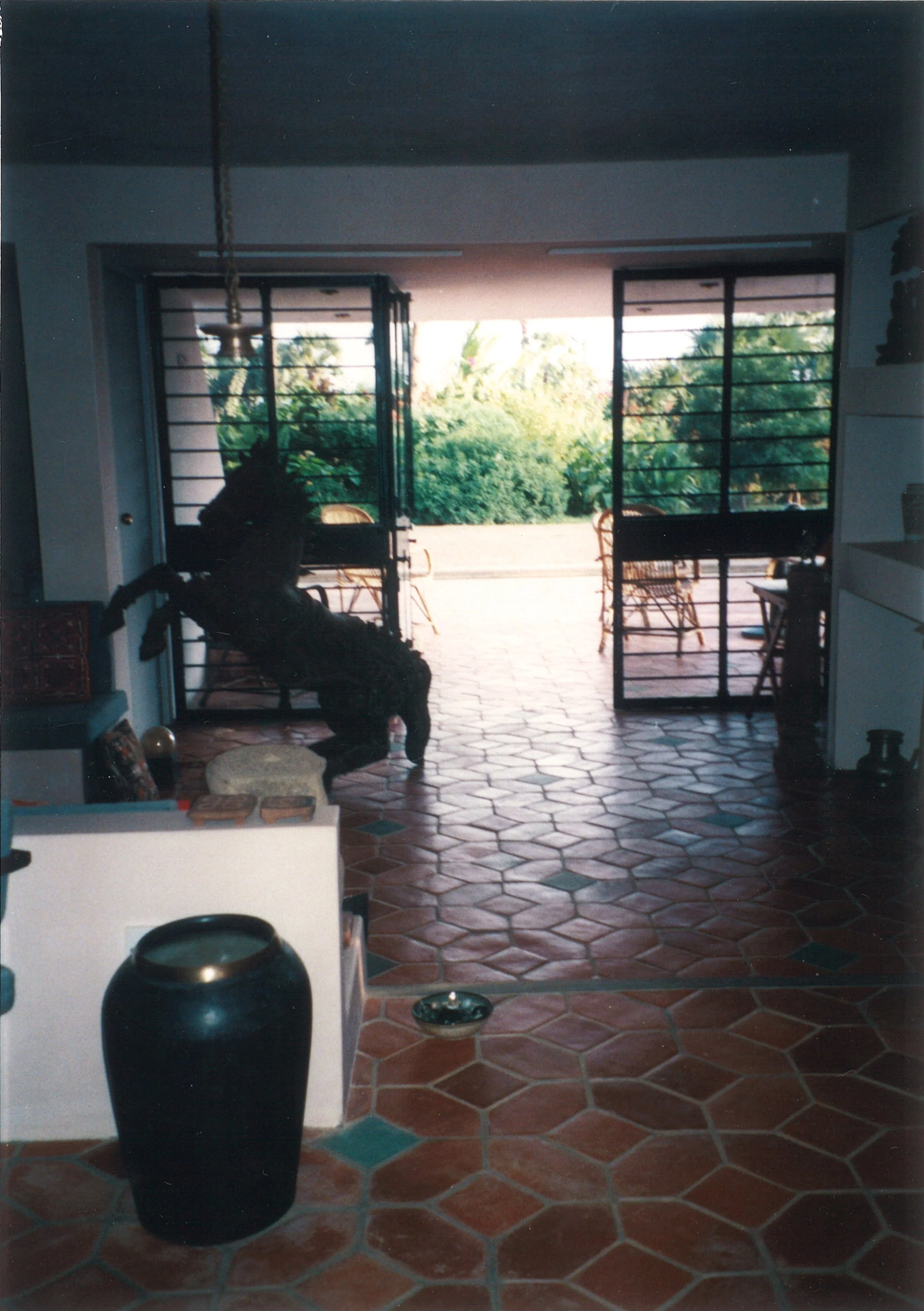 VIEW TO THE GARDEN FROM LIVING-ROOM - B .jpg
