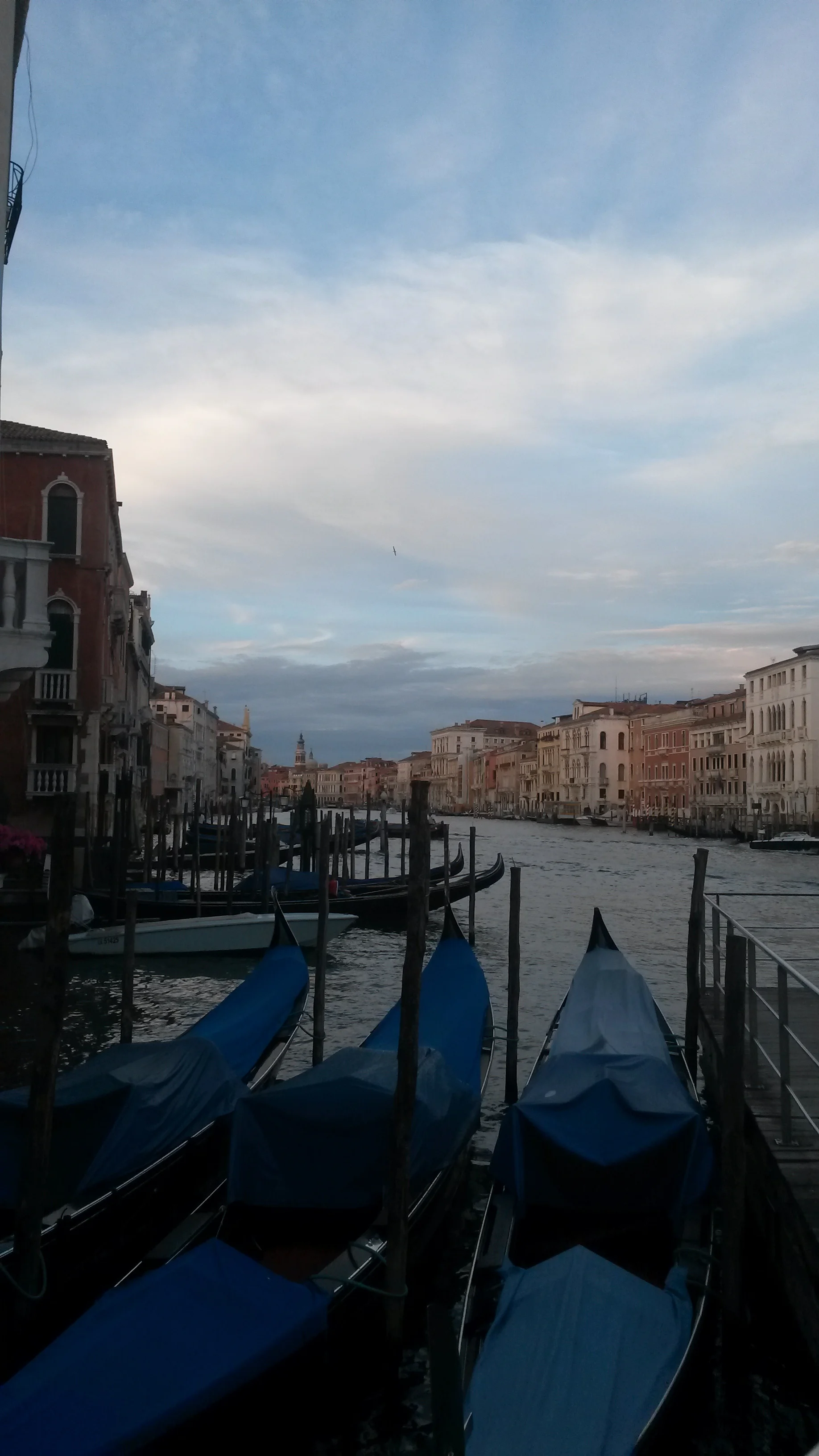 VENICE GRANDE CANALE BY IGOR IN 2014 jpg.jpg