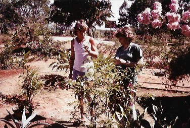 IGOR AND CATHERINE 2  IN IGOR'S GARDEN IN PROGRESS.jpg