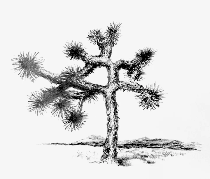 Final Tree.jpg