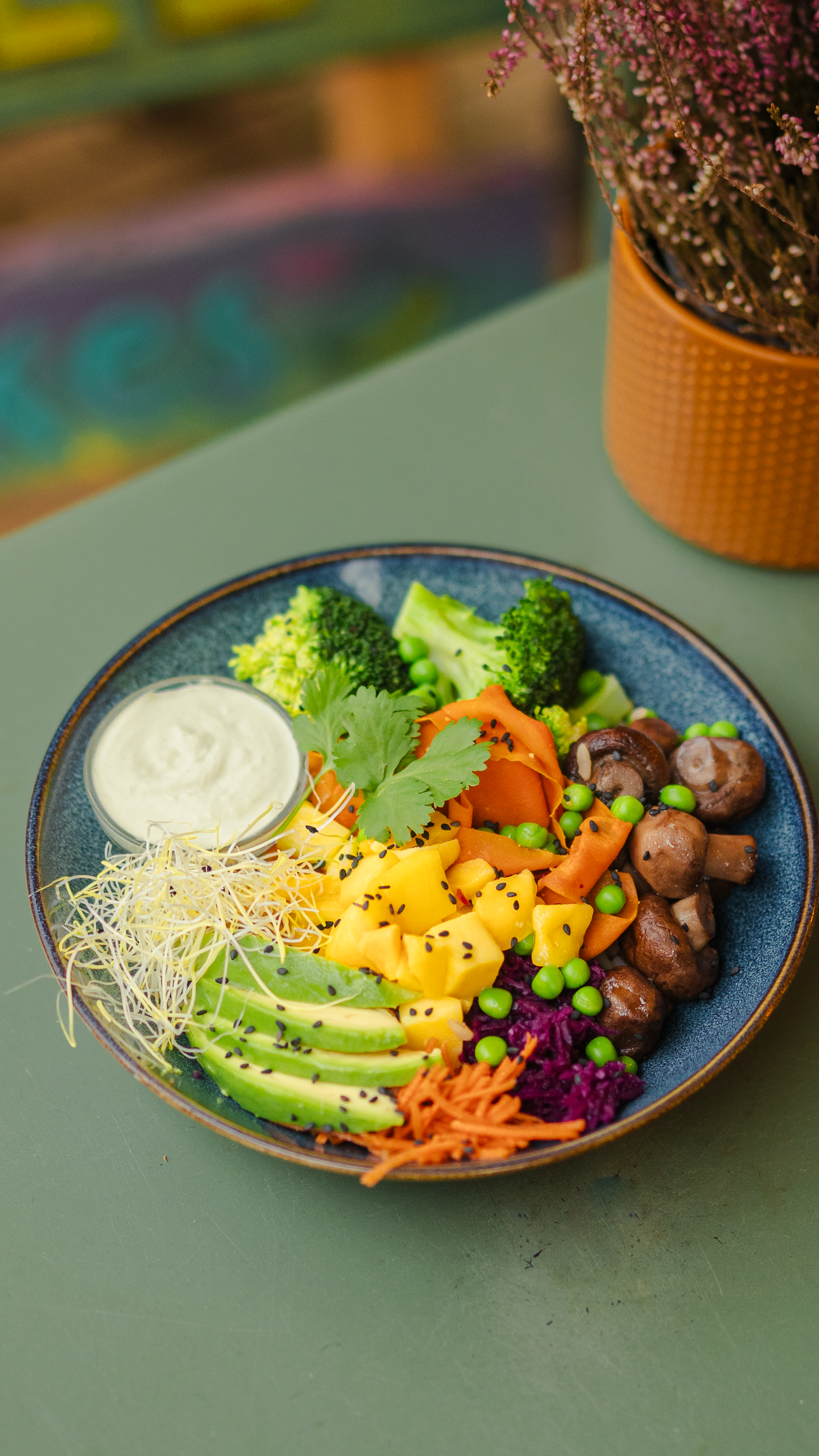 Ontwerp zonder titel (4).png