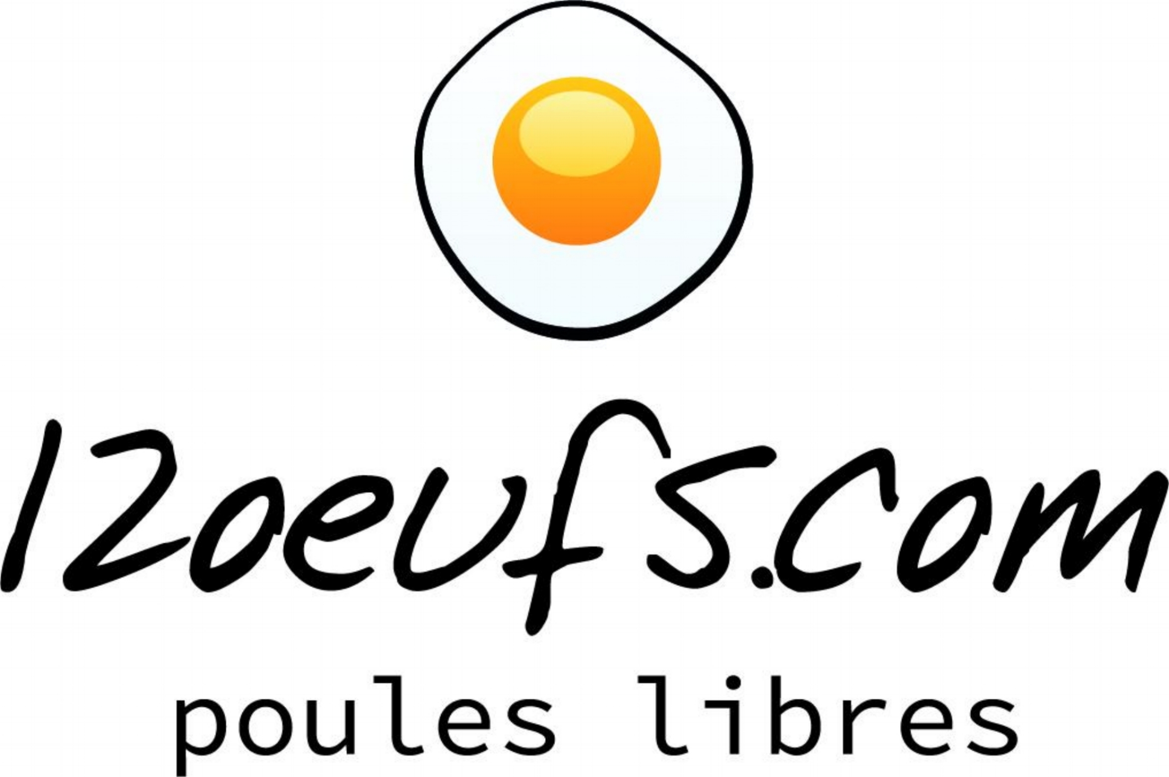 12 oeufs