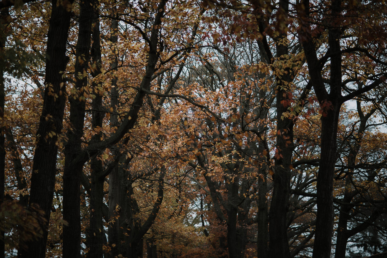 Annick +Christophe - StoriesofYou.be_6.jpg