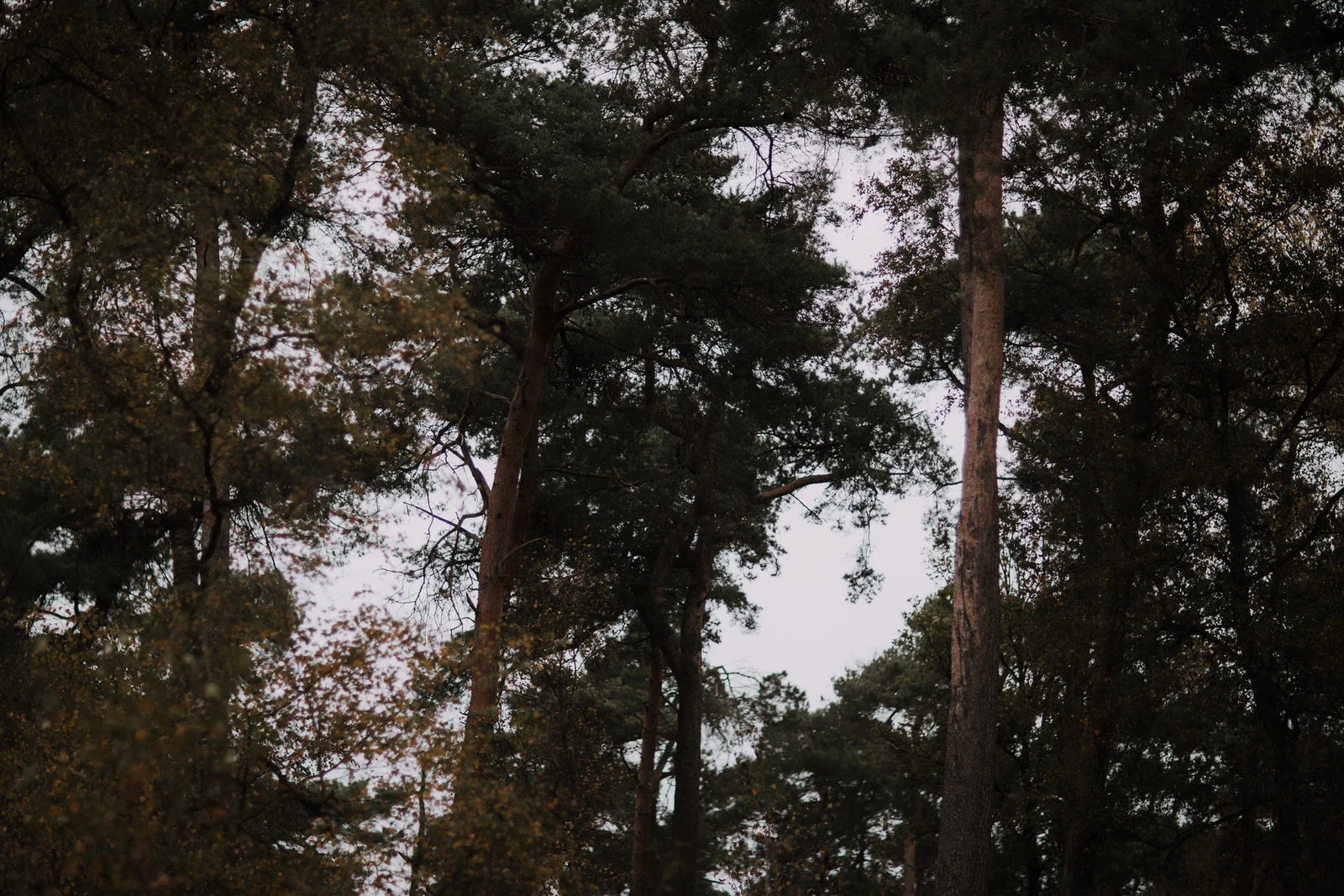 Annick +Christophe - StoriesofYou.be_12.jpg