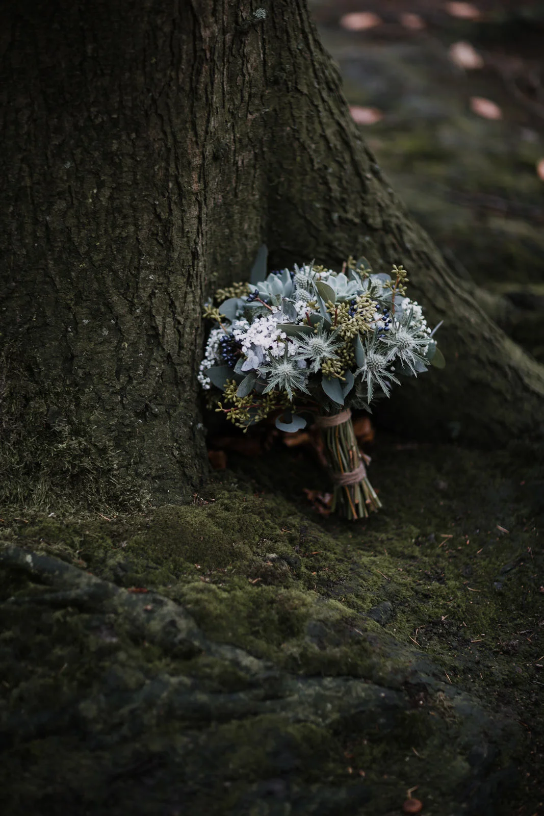 Annick +Christophe - StoriesofYou.be_74.jpg