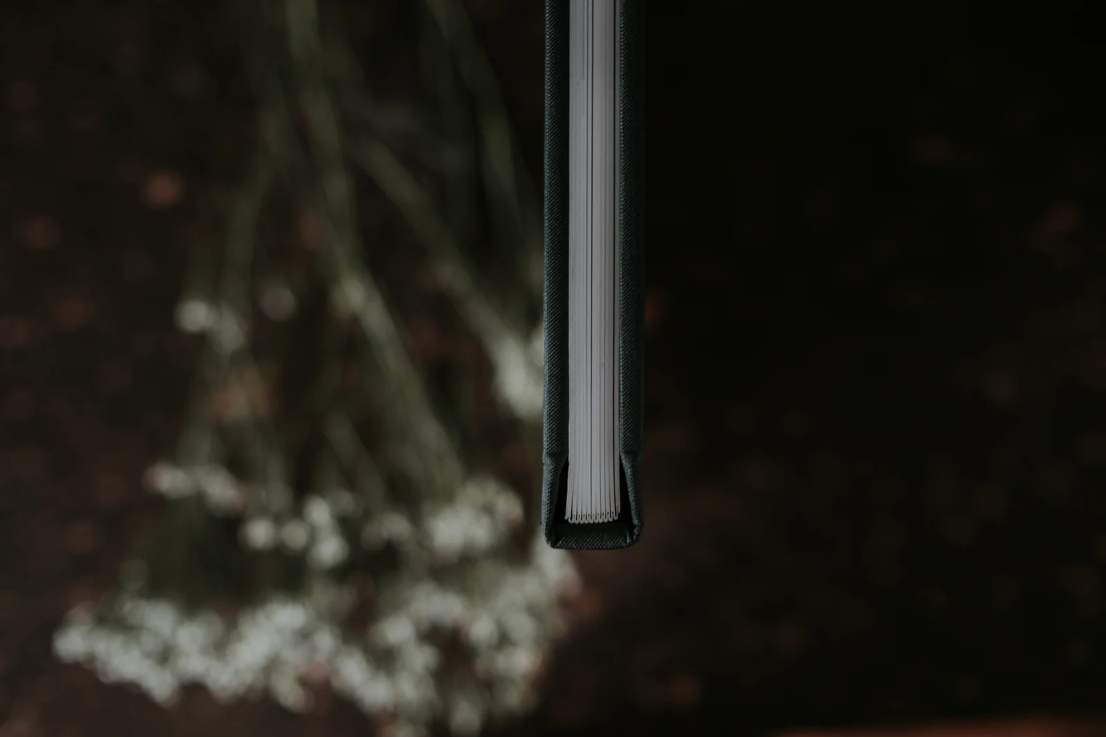 _DSF7037.jpg