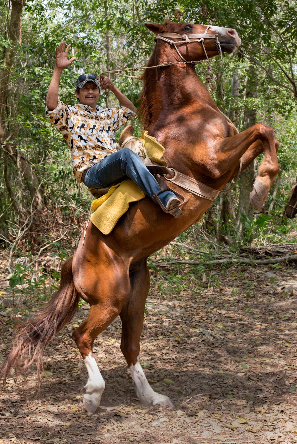 Vaquero