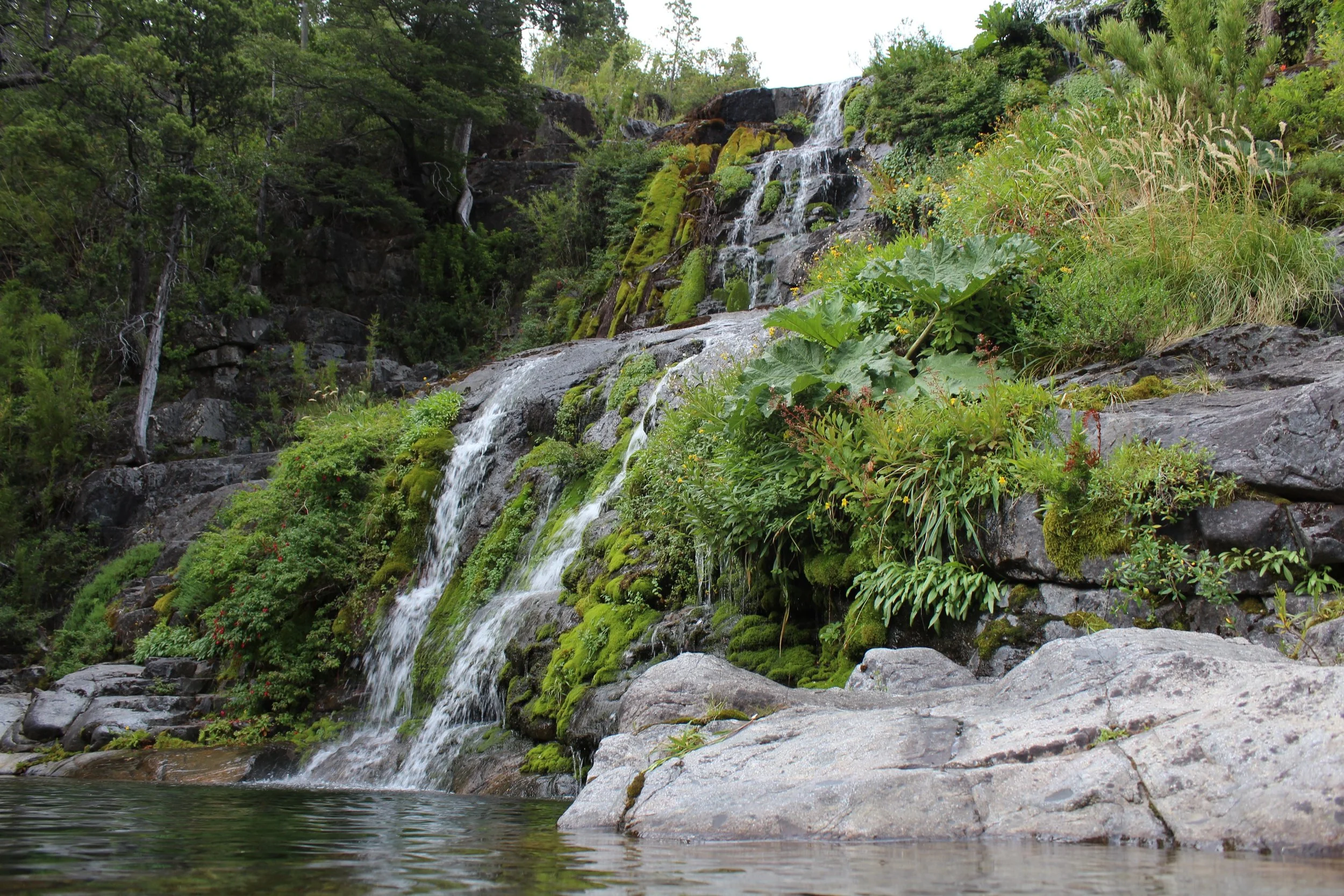 Imagen: Reserva ÑubleOtro Aire Aventura 