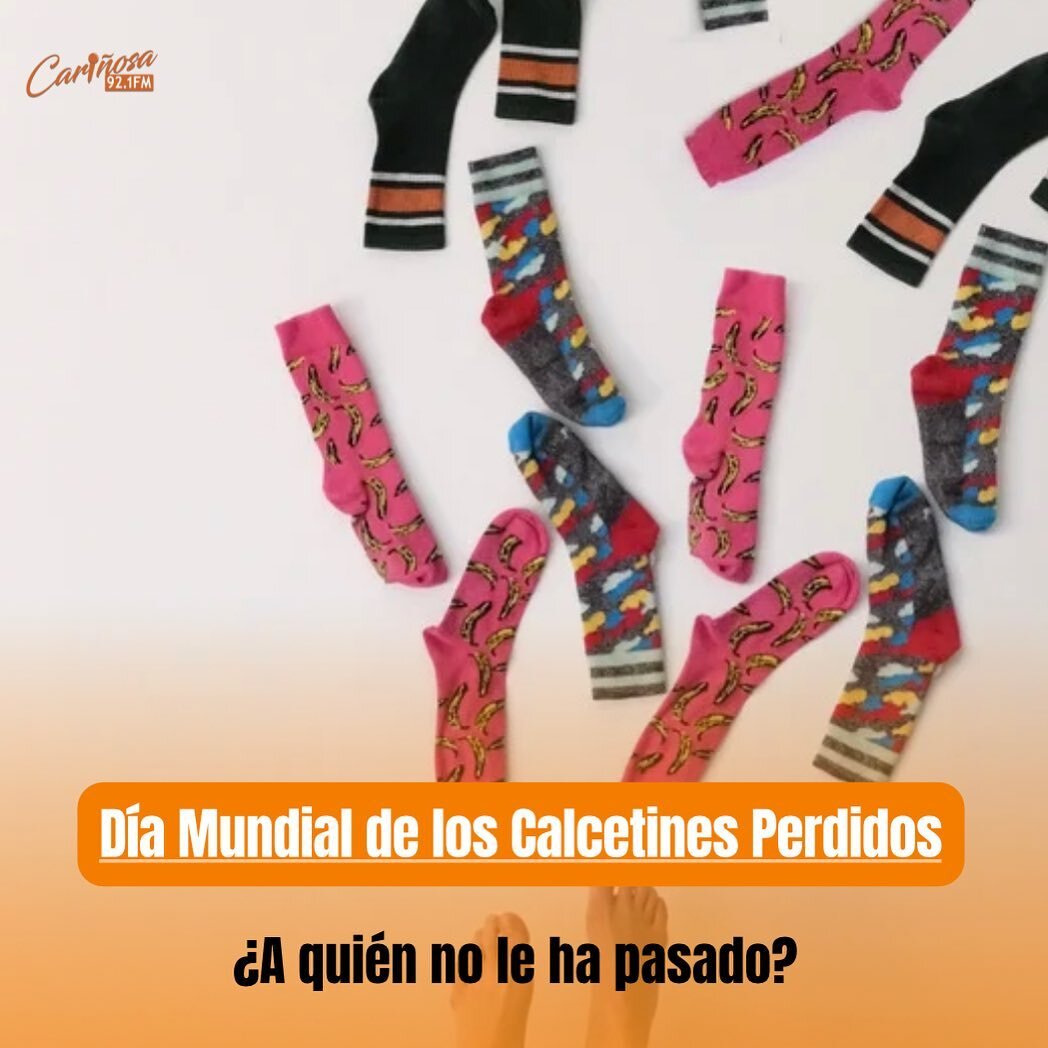 Blancos, de colores, con rayas, puntos o figuras divertidas, los calcetines perdidos tienen tambi&eacute;n su d&iacute;a. &iquest;Cu&aacute;ntos calcetines has perdido y no han aparecido jam&aacute;s?