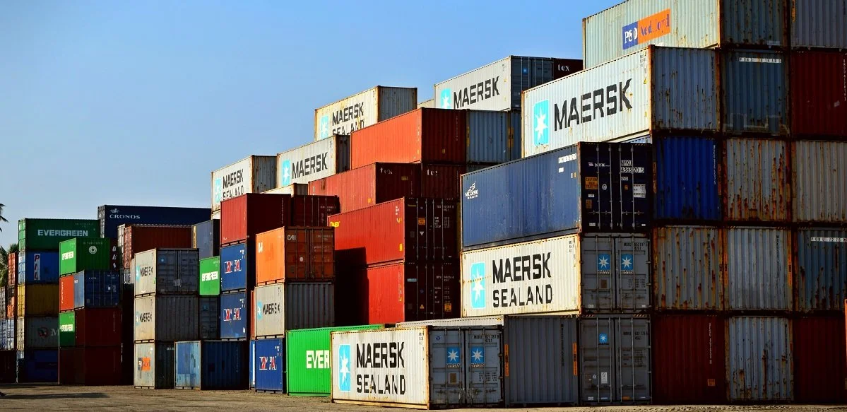 En febrero de 2025, las exportaciones de la Región de Ñuble aumentaron 35,2% interanualmente