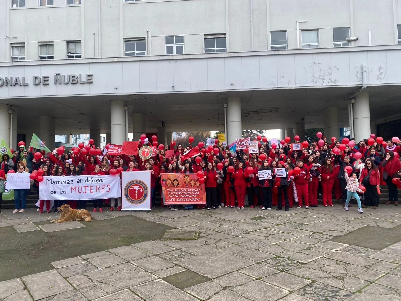Matronas de Ñuble marchan en Chillán: “Esta norma pone en riesgo la salud de nuestras pacientes”