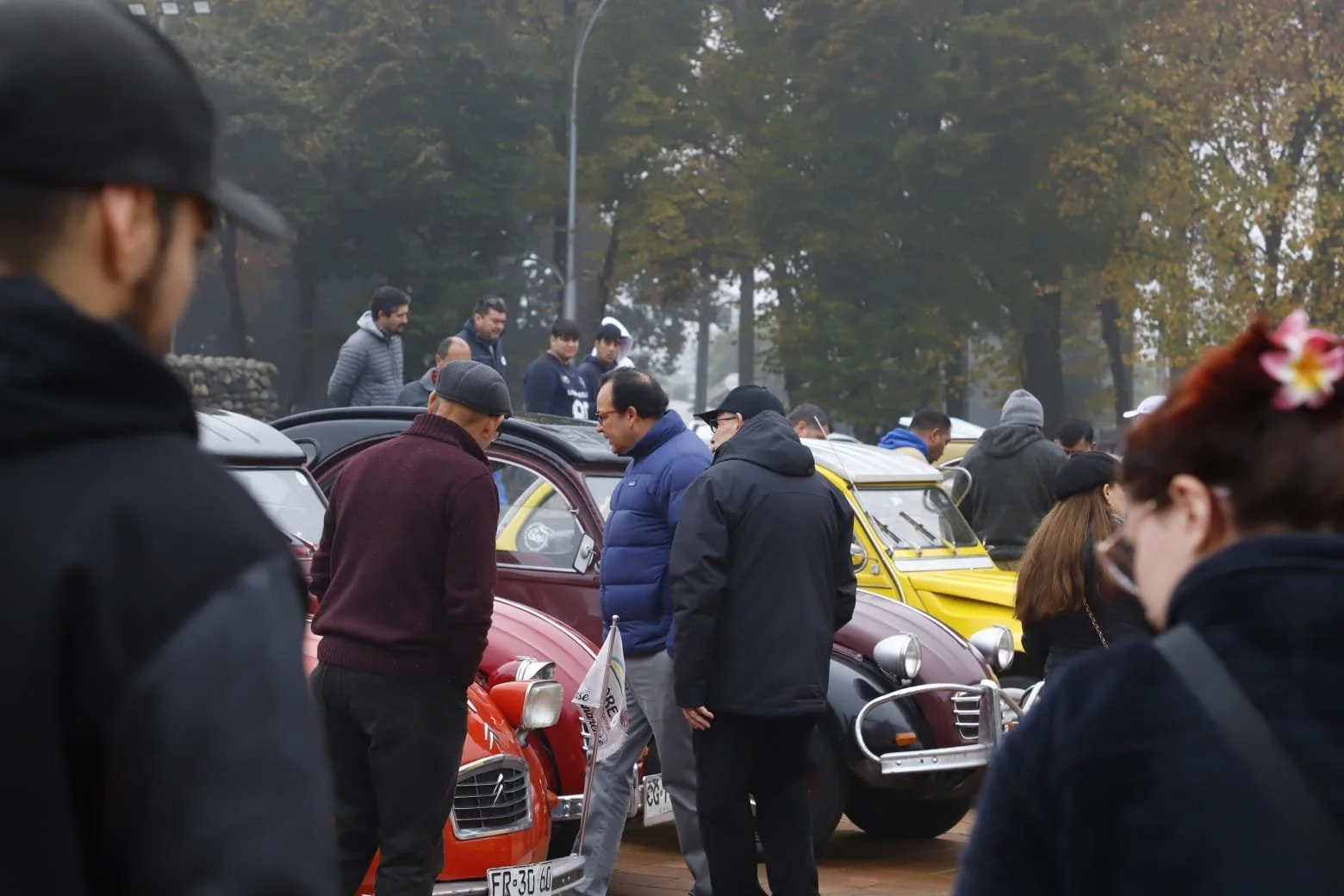 Chillanvejanos celebraron su legado patrimonial con amplias actividades culturales y artísticas