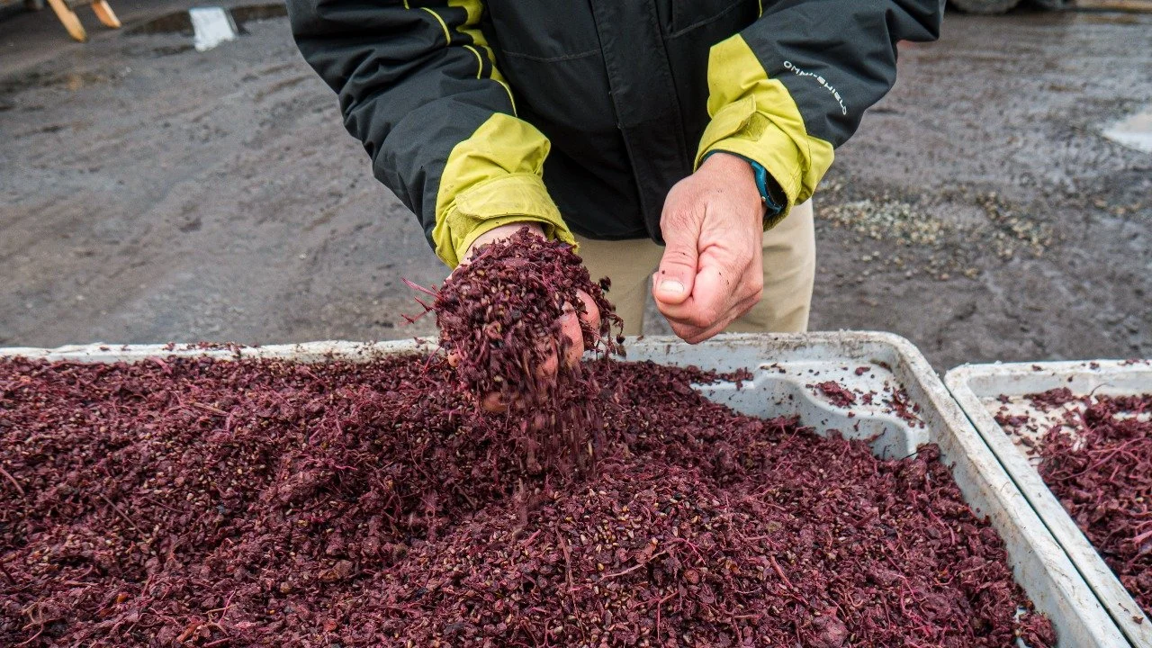 Ñuble impulsa la sostenibilidad: Universidad y sector público colaboran para transformar residuos vitivinícolas en oportunidades productivas