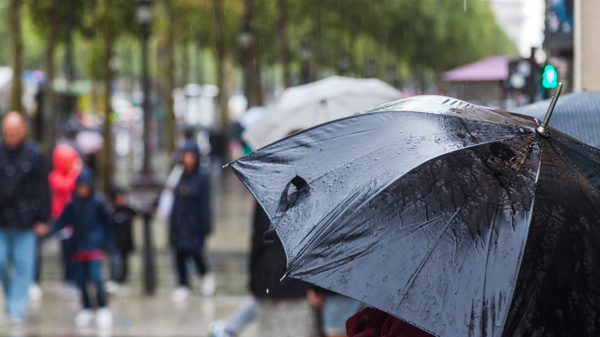 ¡A sacar los paraguas! Ñuble se prepara para lluvias, humedad y viento toda la semana