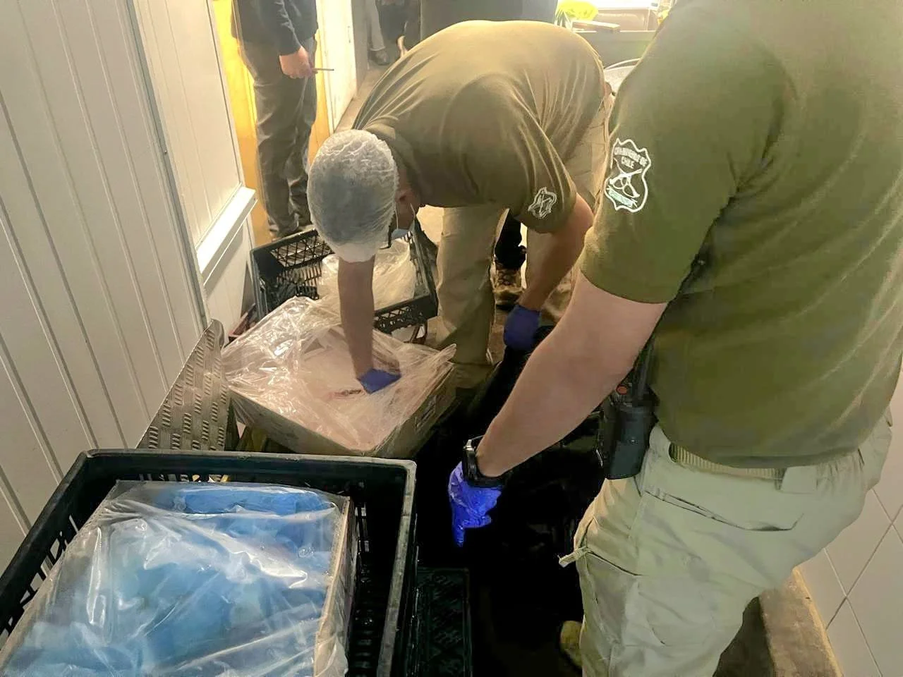 Carabineros detuvo por matadero clandestino en Ñiquén a sujeto mantenía sin acreditar faenamiento