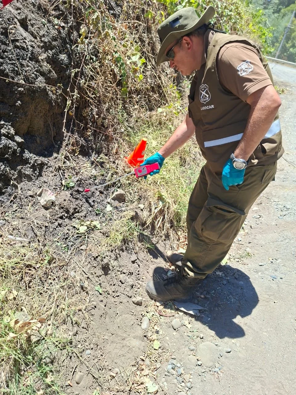 Labocar Ñuble investiga focos de incendio casi simultáneos que amenazaron sector rural de Quillón