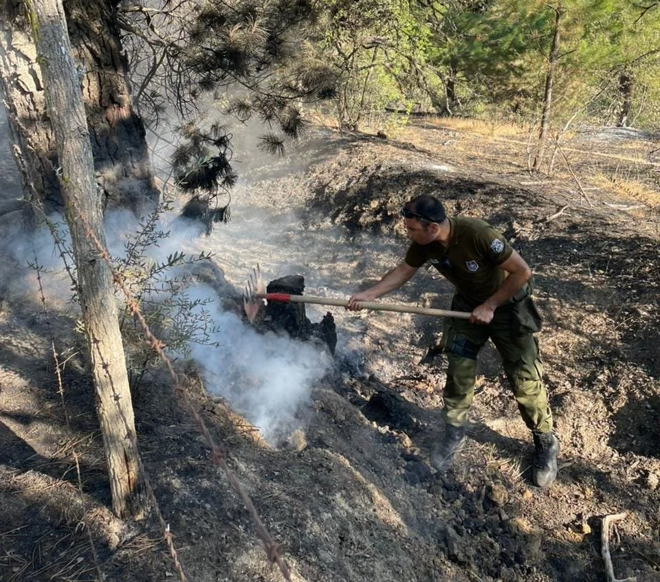 Ñuble: Carabineros refuerza llamado a la prevención de incendios forestales ante calor extremo