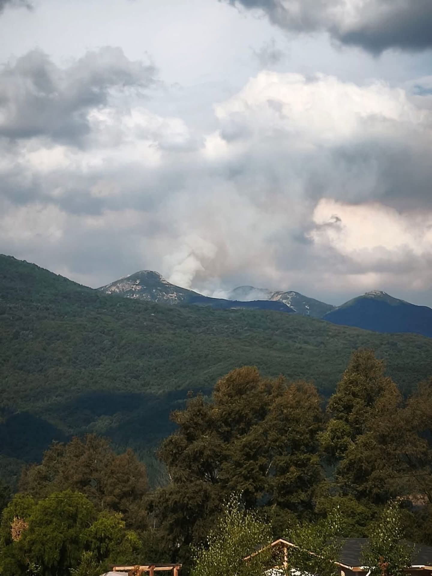 Con brigadas helitransportadas combaten incendio forestal en alta montaña de San Fabián de Alico