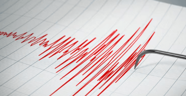 Sismo de magnitud 4,5 se percibe en la región del Biobío durante la madrugada