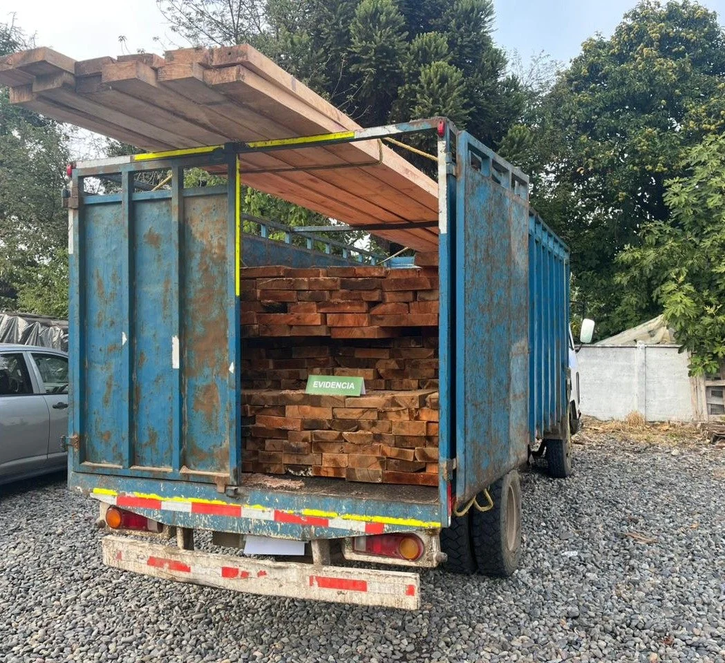 Ñuble: Carabineros de&nbsp;OS9 detuvo a sujeto por sustracción de madera y conducción sin licencia debida