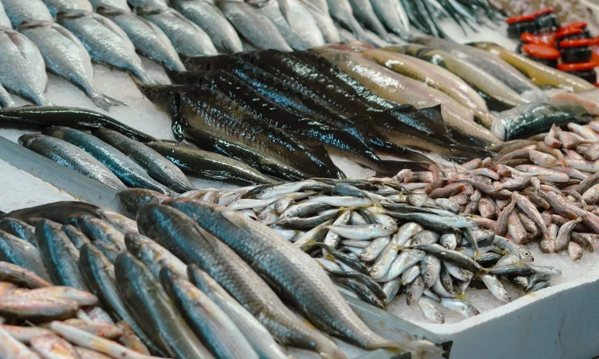 Refuerzan controles y entregan recomendaciones sanitarias ante alta demanda de pescados y mariscos