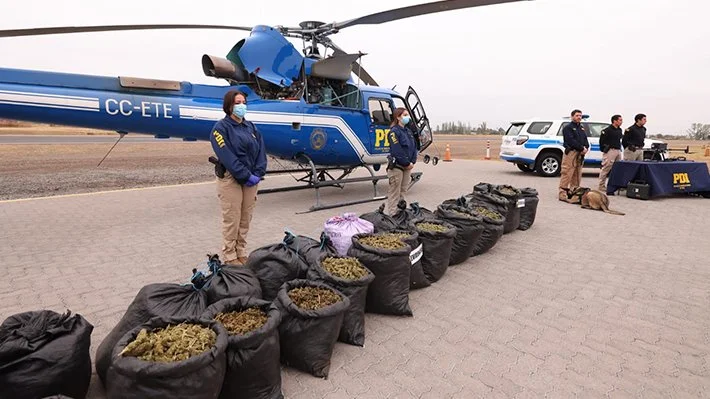 Plan Cannabis 2026 logra millonaria incautación de droga en Chile