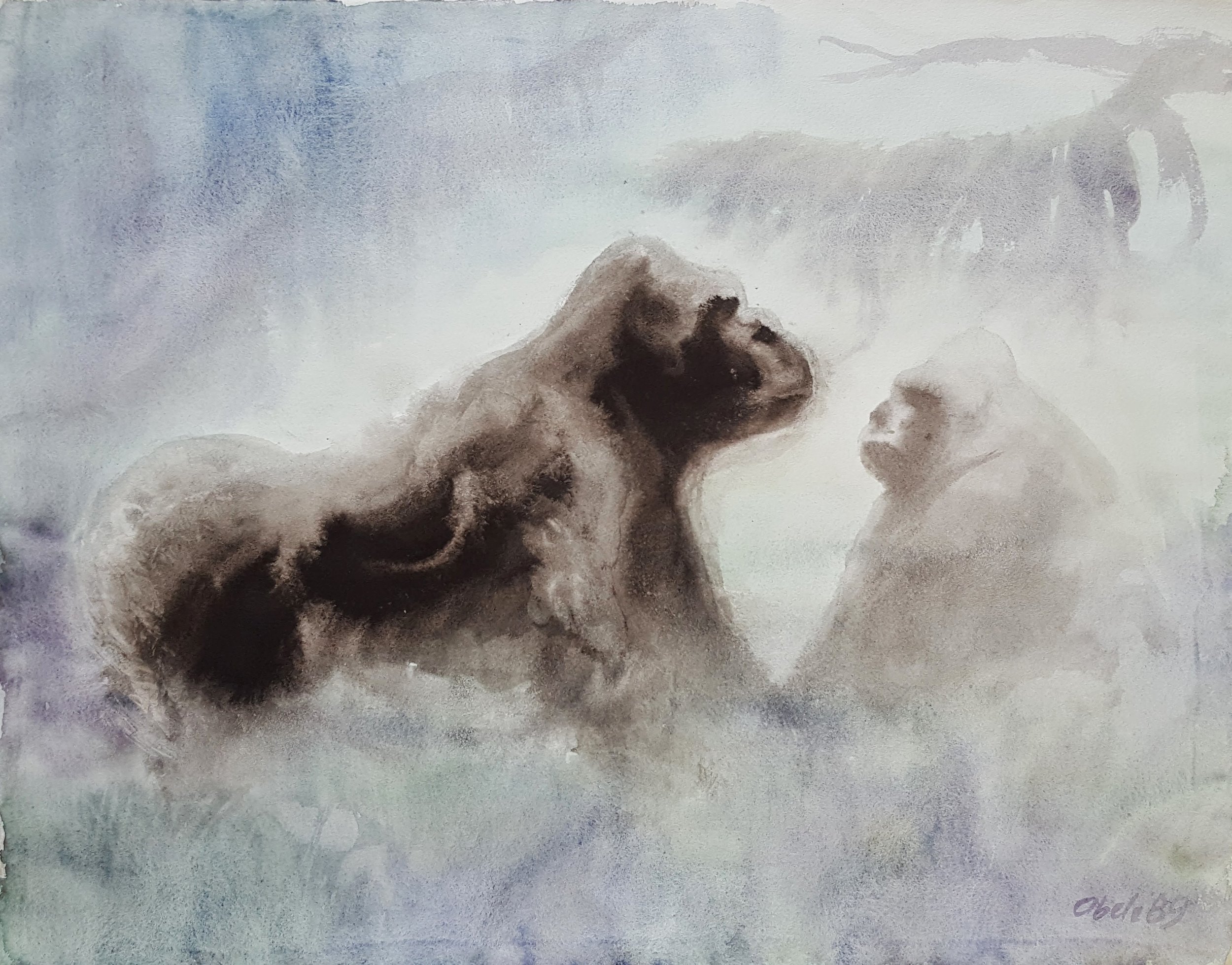 Begegnung / Gorilla Family in the Mist