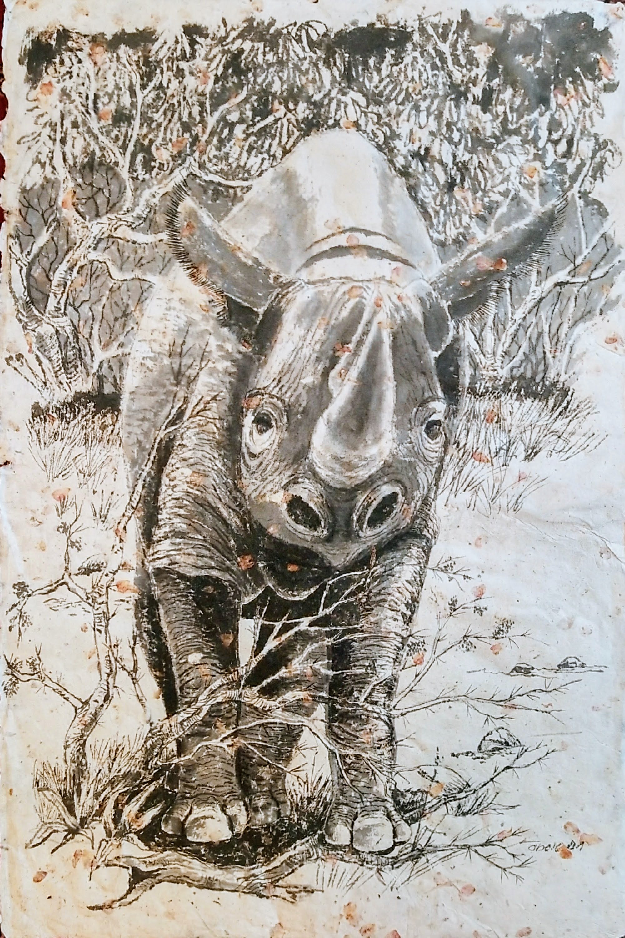 Black Rhino at Momella / Spitzmaulnashorn an Momella 