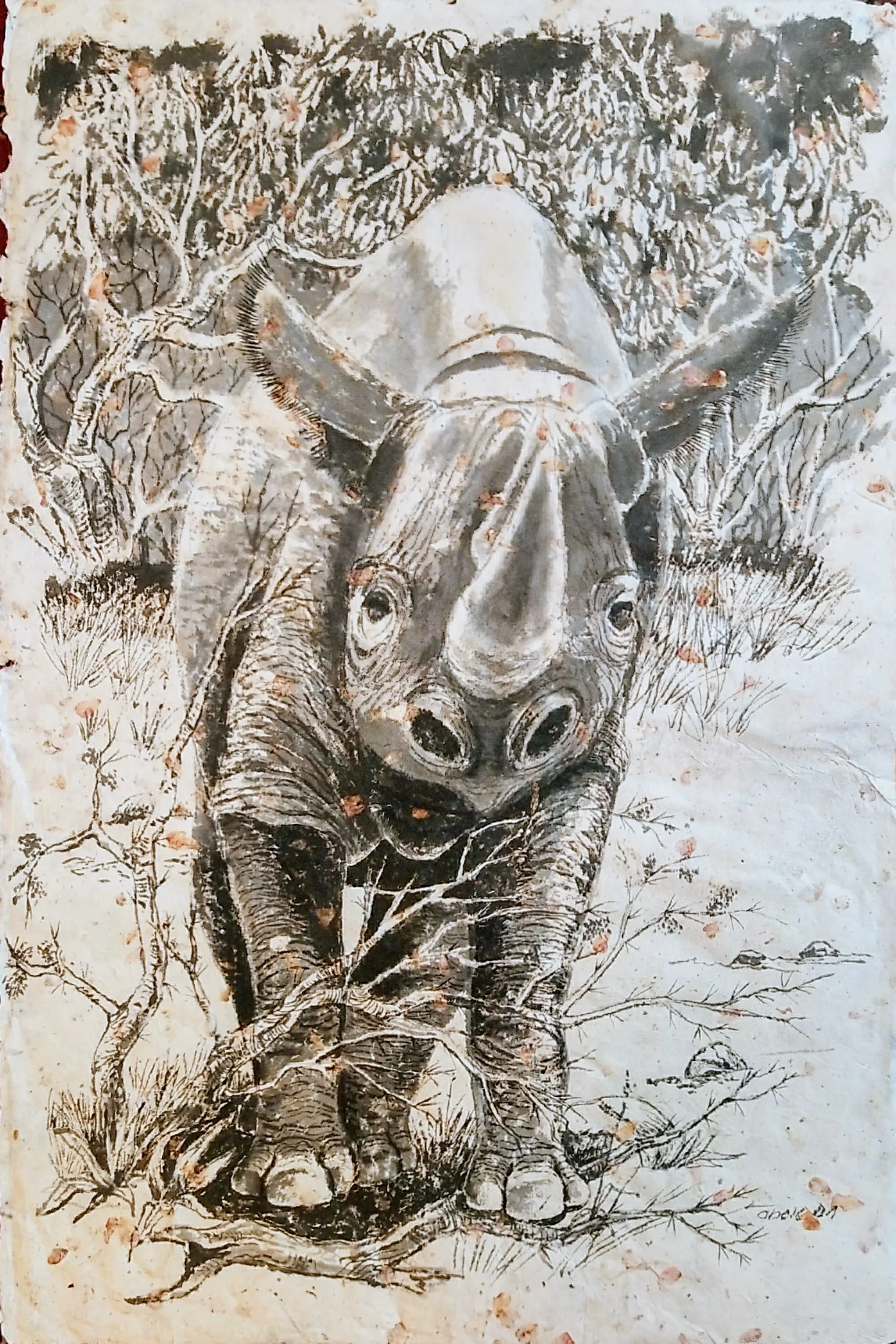 Black Rhino at Momella / Spitzmaulnashorn an Momella