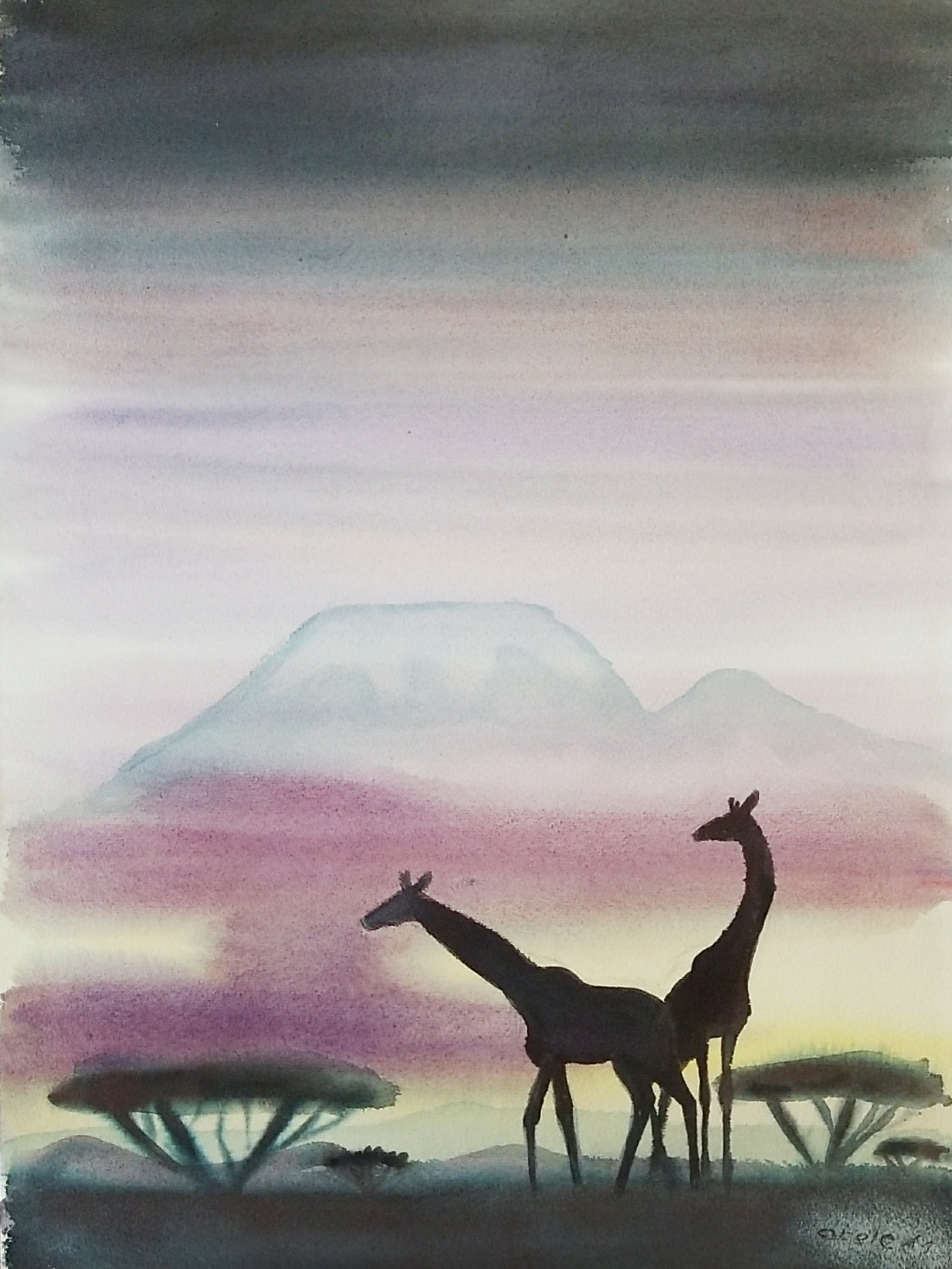 Giraffen in Schatten des Kibo Tansania / Giraffes in the Shadow of Kilimanjaro