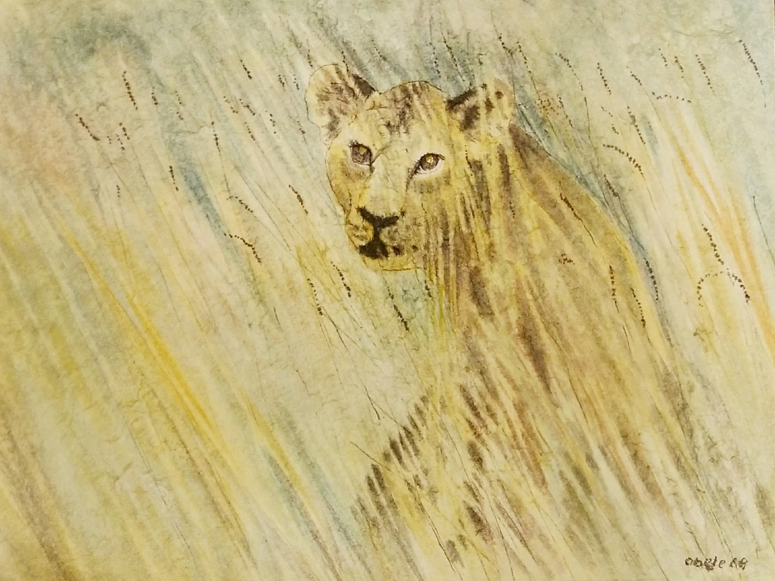Junglöwe voll von Neugierde / Young Lion Full of Curiosity