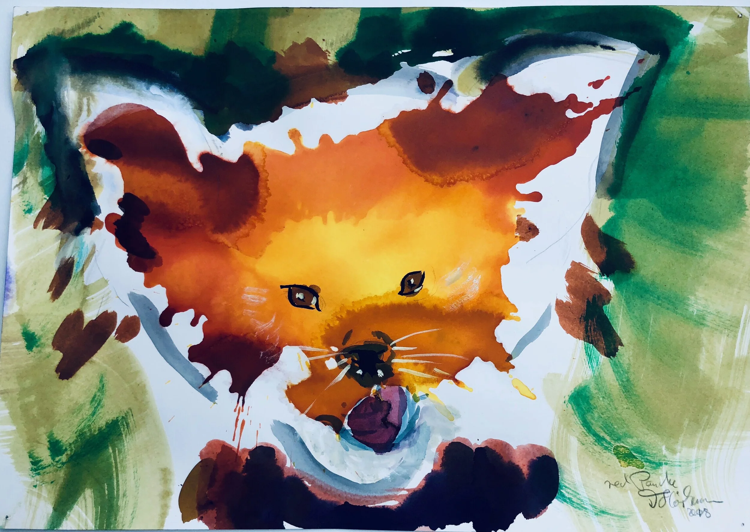Red Panda