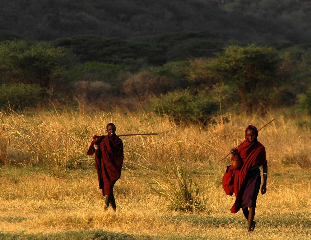 Maasai_field.jpg