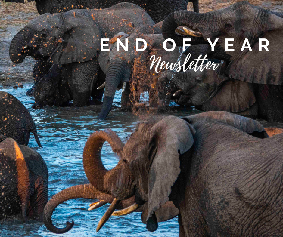 2021 End of year newsletter - A conflicting narrative?