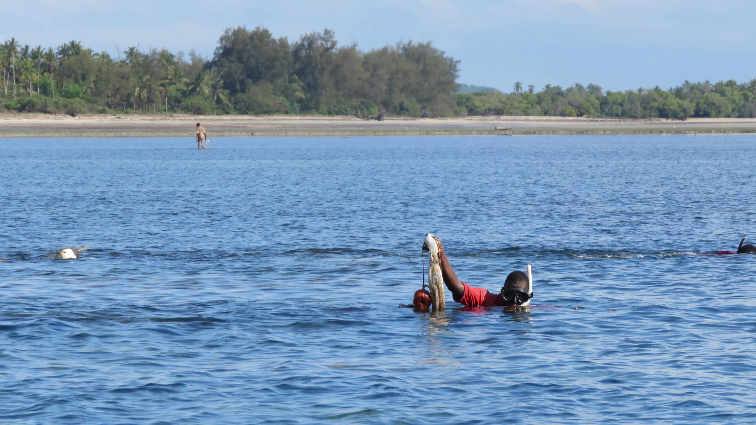 An Octopus at a time: Closure of a portion of coral reef in Ushongo Village