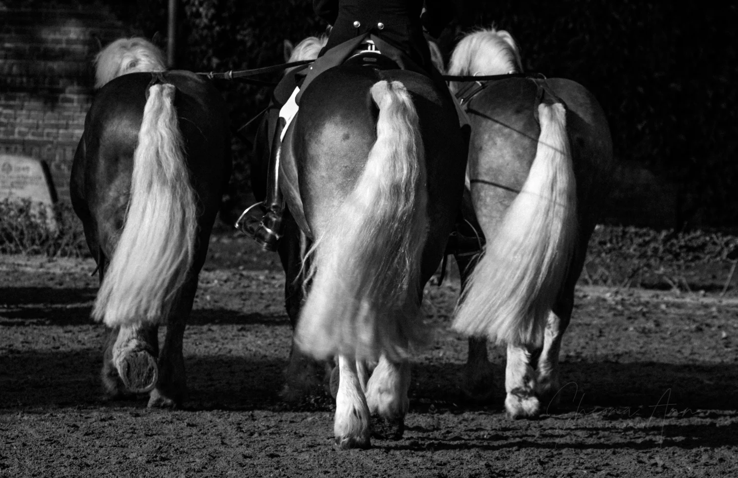 Sideswept_bw_website_SheonaAnnPhotography (1 of 1).jpg